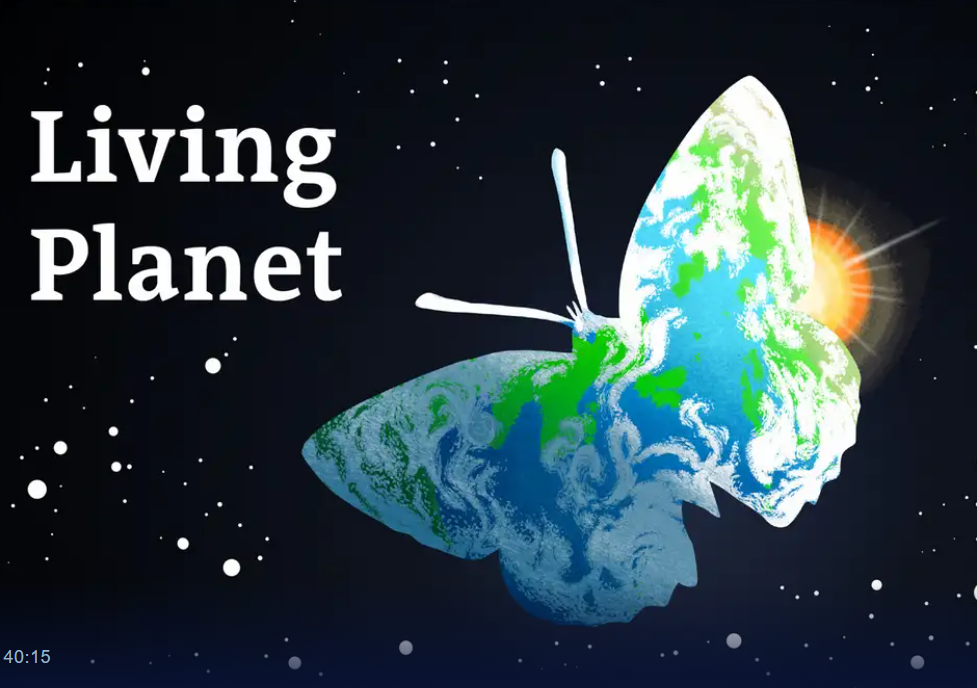 Heatstroke economy: the rising cost of extreme heat