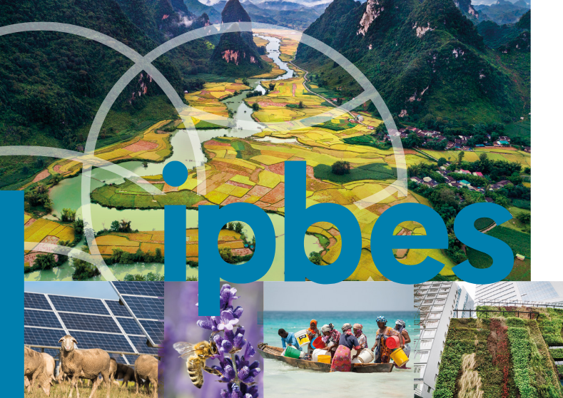 IPBES Nexus Assessment: Summary for Policymakers